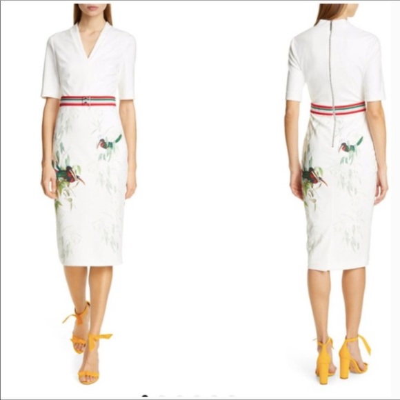 Ted Baker Dresses & Skirts - Ted Baker London Molilo Tutti Frutti Sheath Dress